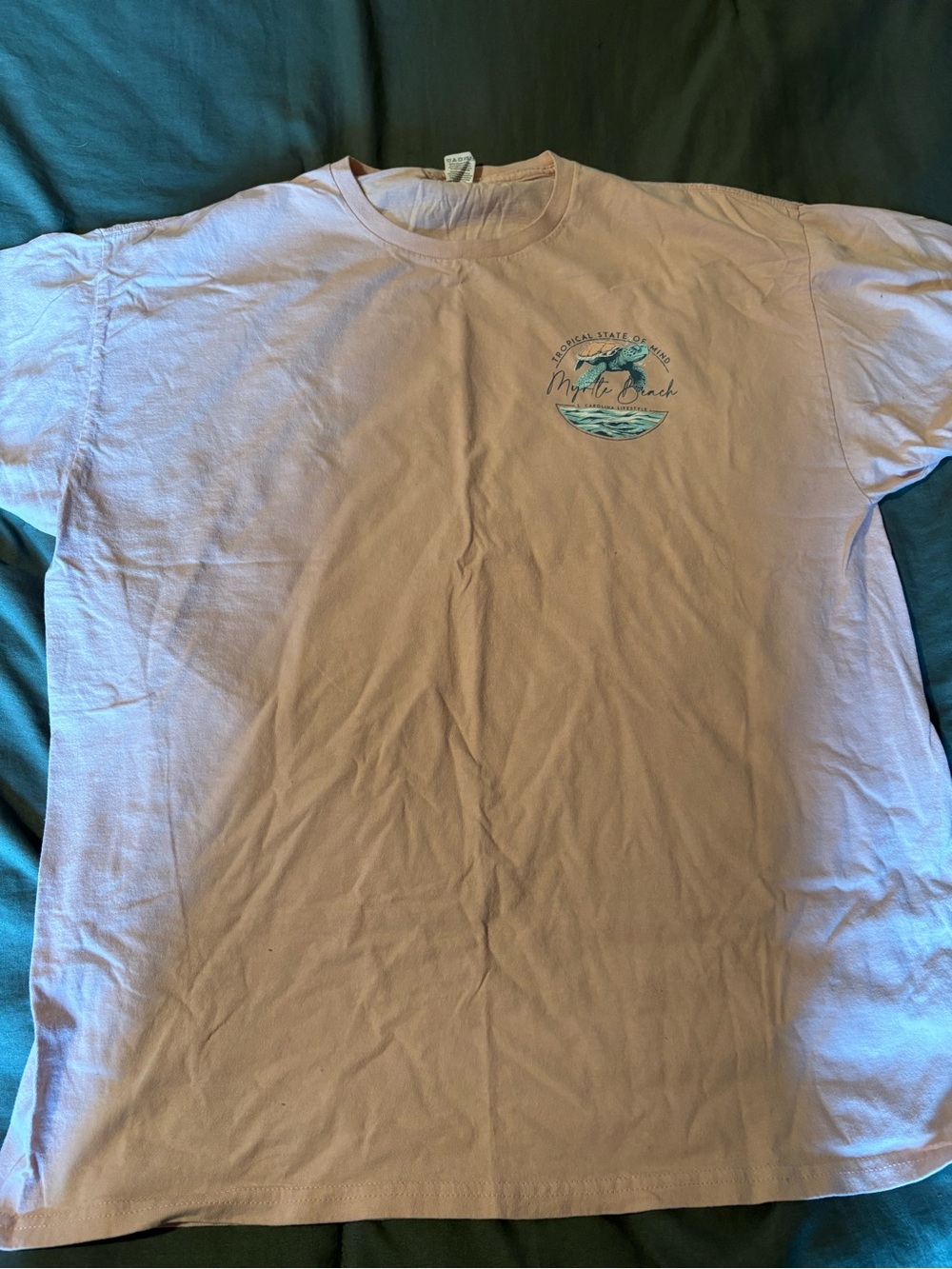 Fruit of the Loom Light Pink Crewneck T‑Shirt